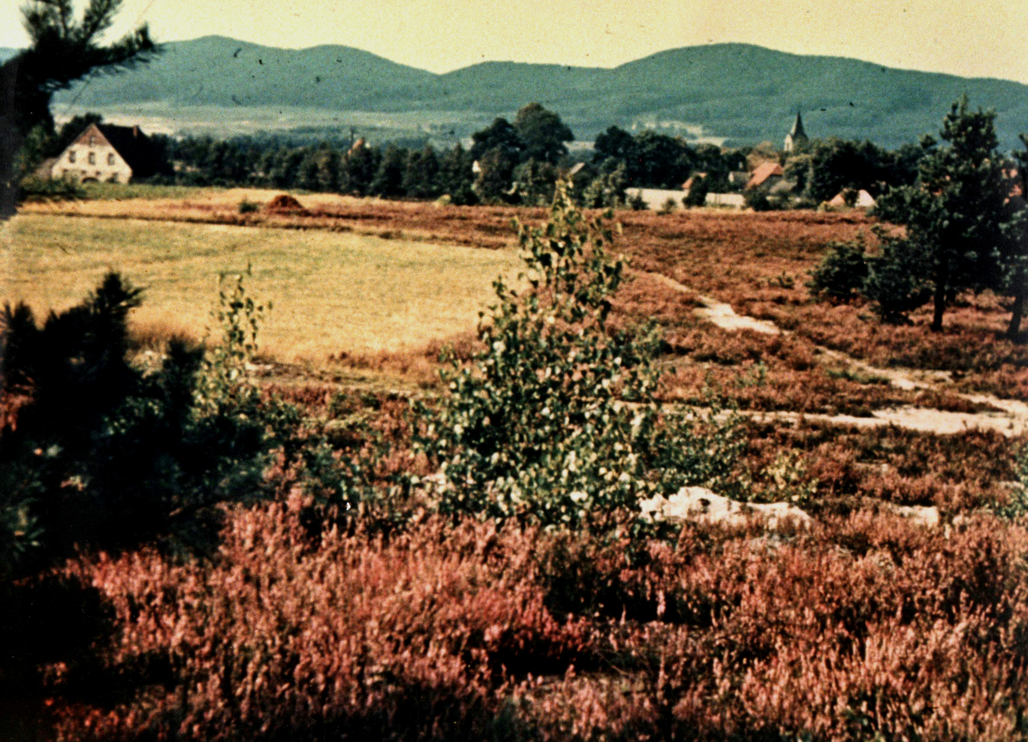 Augustdorf